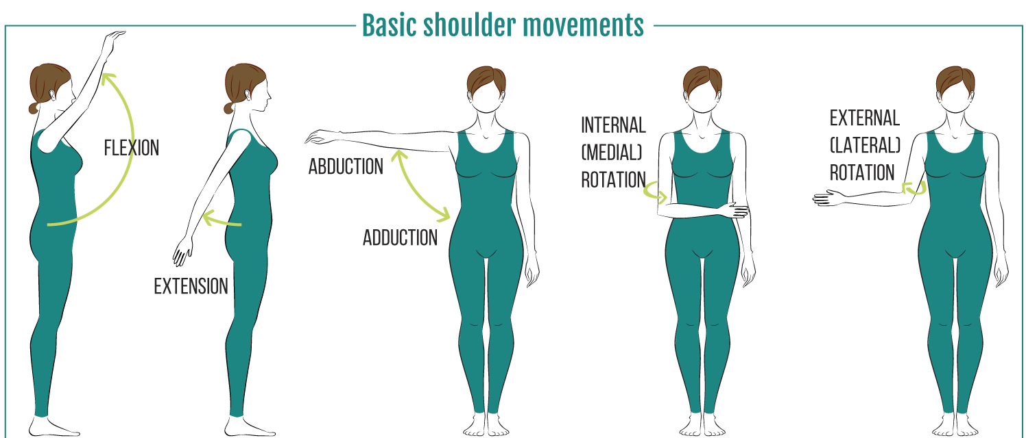 Shoulder movements