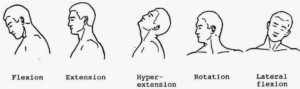 neck movement